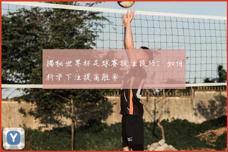 揭秘世界杯足球赛投注技巧：如何科学下注提高胜率