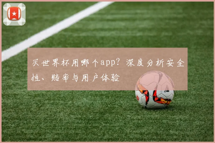 买世界杯用哪个app？深度分析安全性、赔率与用户体验