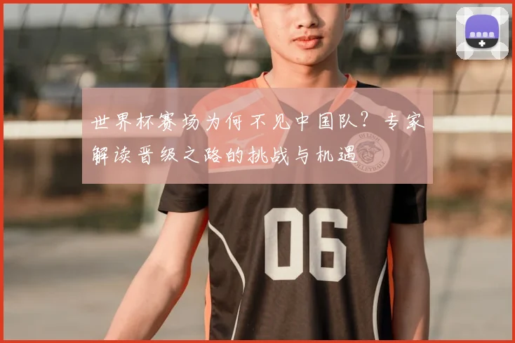世界杯赛场为何不见中国队？专家解读晋级之路的挑战与机遇