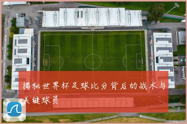 揭秘世界杯足球比分背后的战术与关键球员