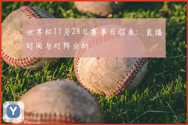 世界杯11月28日赛事日程表:直播时间与对阵分析