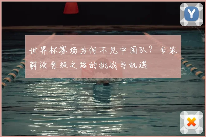 世界杯赛场为何不见中国队？专家解读晋级之路的挑战与机遇