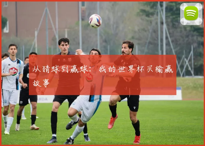 从猜球到赢球：我的世界杯买输赢故事