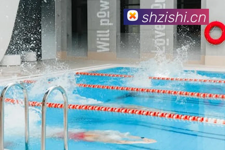 华体会官网登录入口平台生态图